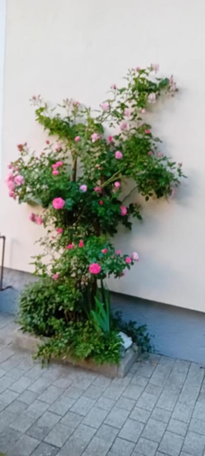 Apartment Auszeit Alpenblick Sommercard Hollersbach im Pinzgau Esterno foto